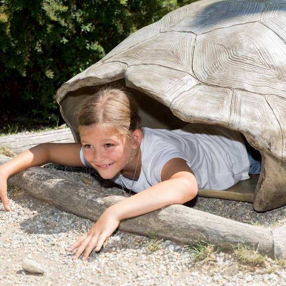 Mädchen im leeren Schildkrötenpanzer (Foto: Tierwelt Herberstein)