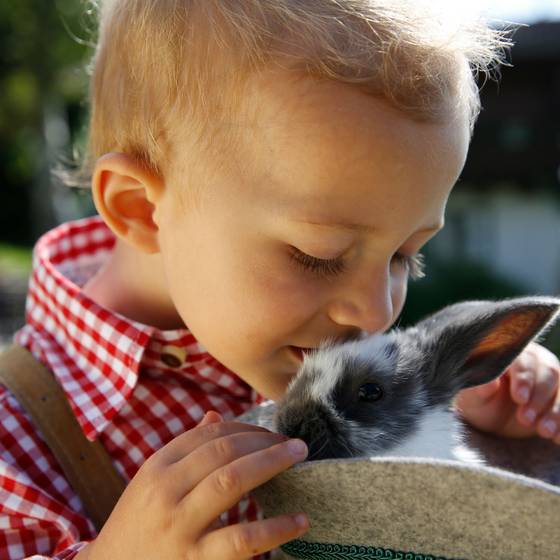 Kleiner Bub knuddelt Häschen (Foto: Herbert Raffalt)