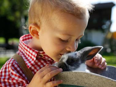 Kleiner Bub knuddelt Häschen (Foto: Herbert Raffalt)