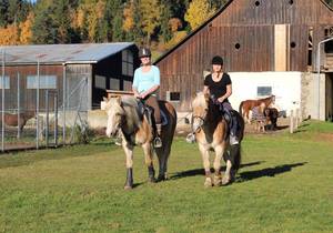 Herbstferien am Reiterhof - Das Leitner
