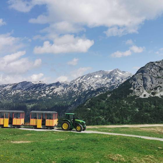 Mit dem Bummelzug über die Tauplitzalm (Foto: hollhaus.at)