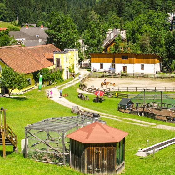 Natur und Tiere rund um den Appelhof (Foto: Micheal Appel)