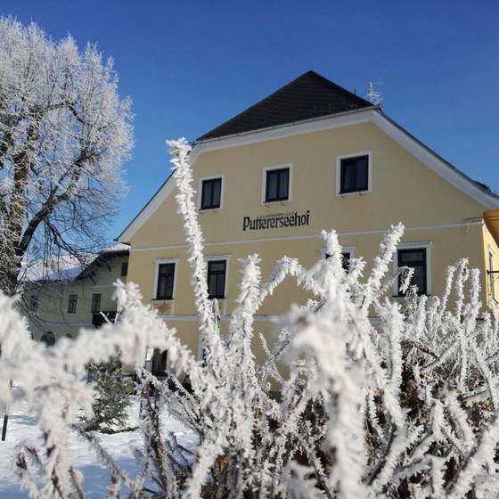 Landhotel Gut Puttererseehof im Winter