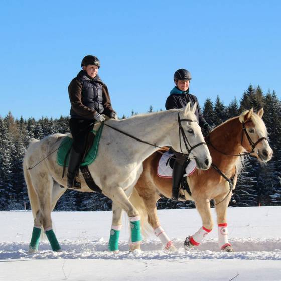 Reitgenuss im Winter  (Foto: Das Leitner / Karin Leitner)