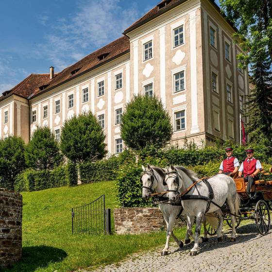 Kutschenfahrt (Spanische Hofreitschule - Lipizzanergestuet-Piber, Foto: Dieter-Sajovic)