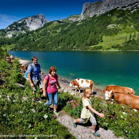 Familienwanderung auf der Tauplitz (Foto: TVB Ausseerland-Salzkammergut/Tom Lamm)