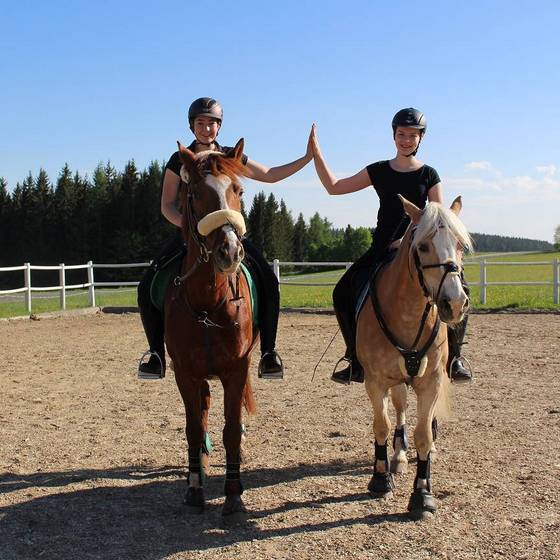 Reitgenuss beim Narnhofer / Das Leinter (Foto: Karin Leitner)