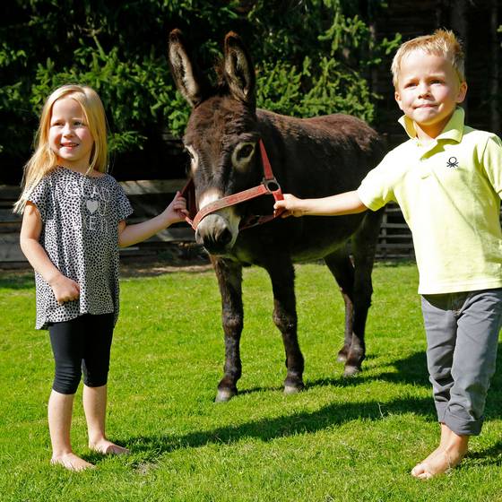Ein Bub und ein Mädchen stehen barfuß in der Wiese, dazwischen eine Esel, den sie am Halfter halten (Foto: Herbert Raffalt)