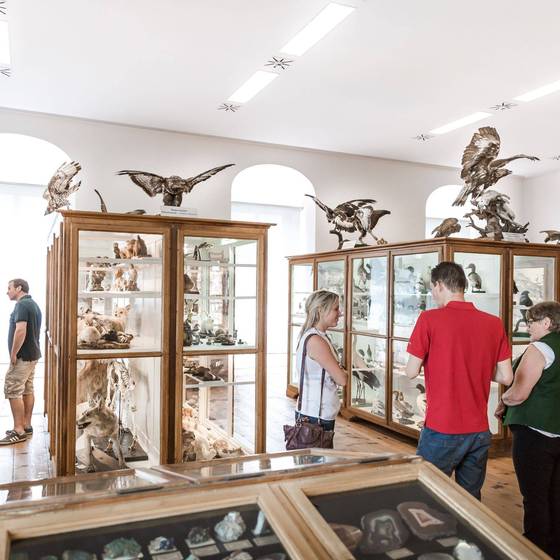 Stift Admont, Naturhistorisches Museum (Foto: Thomas Sattler)