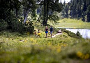 Goldener Herbst auf der Alm - Berggasthof Hollhaus