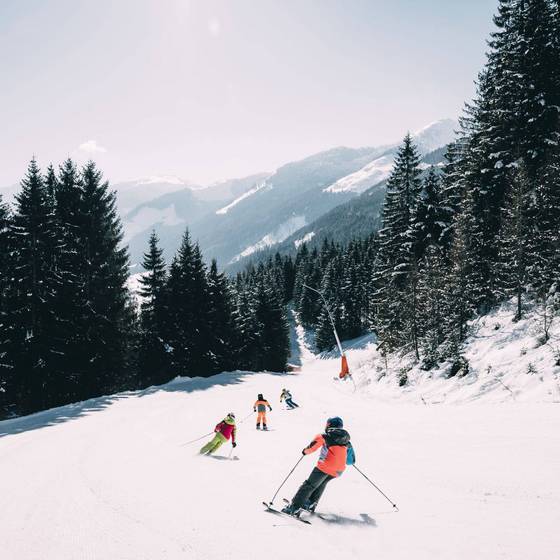 Skifahren auf der Riesneralm (Foto: Kinderhotel Stegerhof/Armin Walcher)
