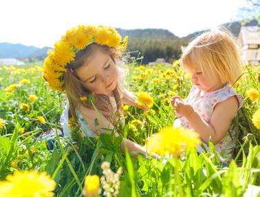 Mädchen in der Blumenwiese (Foto: Photo Austria)