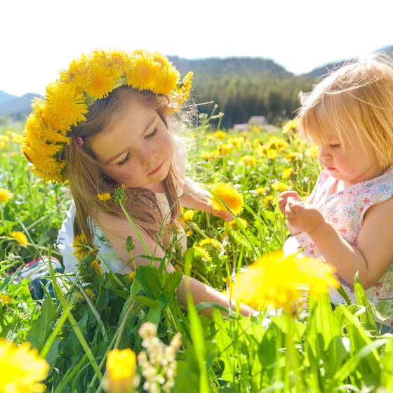 Mädchen in der Blumenwiese (Foto: Photo Austria)