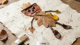 Laub-Bild