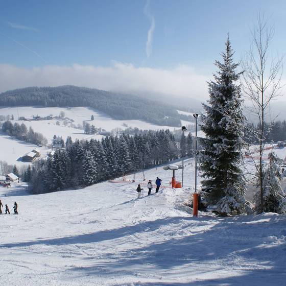 Familienschiberg St. Jakob im Walde in der Steiermark
