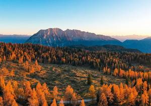 Bunter Herbst - Hotel Grimmingblick