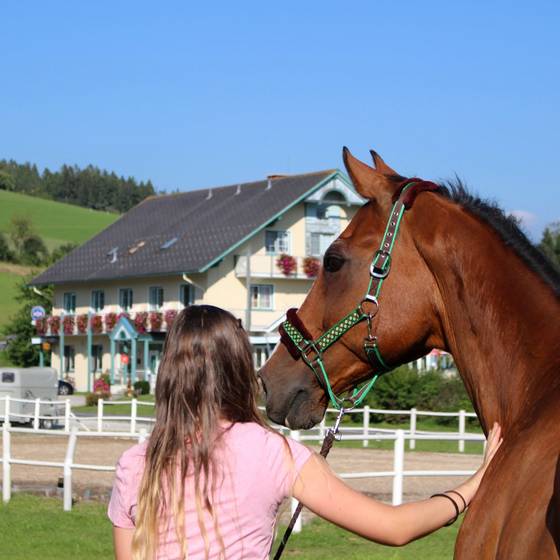 Das Glück dieser Erde ... (Foto: Das Leitner Home & Horse, Karin Leitner)