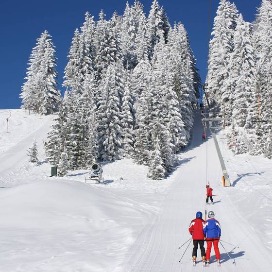 Spaß im Schnee am Familienschiberg St. Jakob im Walde