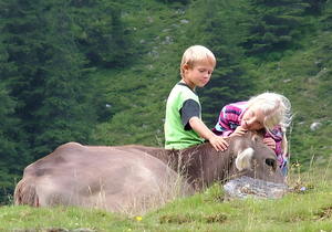 Sommercard Special - Pürcherhof