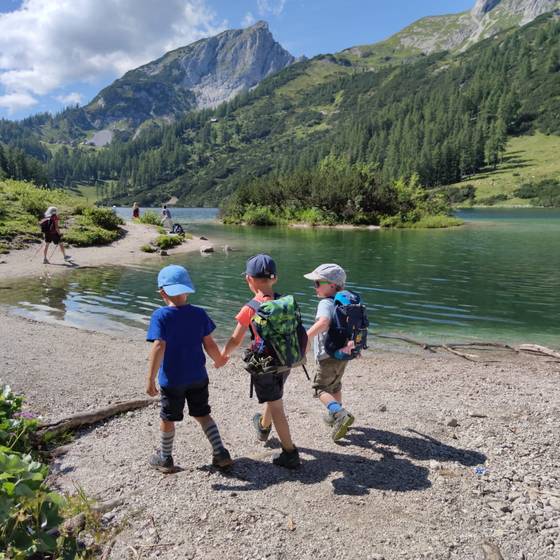 Kinderleichter Wandergenuss auf der Tauplitz (Foto: hollhaus.at)