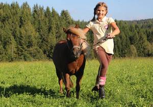 Das Leitner HOME & HORSE