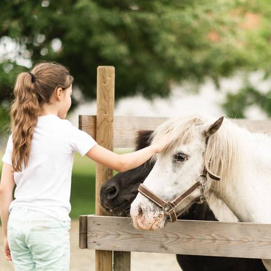 Mädchen streichelt Pony, Ballonhotel Thaller (Foto: Mario Luttenberger)