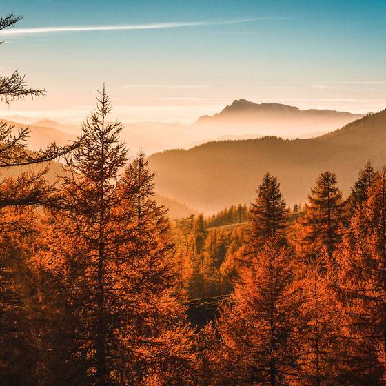 Herbststimmung in der Ramsau, (c) Familienhotel Matschner
