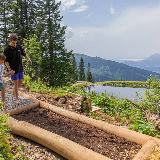 Barfußweg und SCHafsinnTeich (Foto: René Eduard Perhab) Barfußweg und SCHafsinnTeich (Foto: René Eduard Perhab)