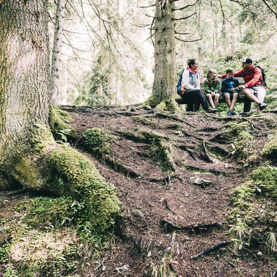 Familie beim Waldspaziergang in Donnersbachwald (Foto: Armin Walcher)
