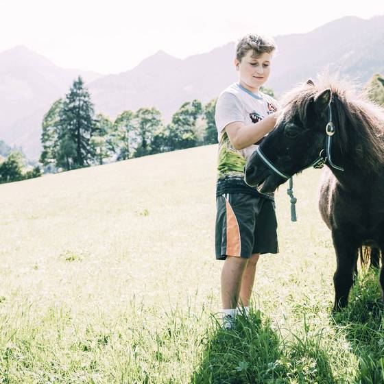 Minibauernhof mit Pferden  (Foto: Kinderhotel Stegerhof/Armin Walcher)