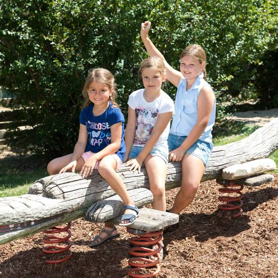 Schaukel-Krokodil (Foto: Tierwelt Herberstein)