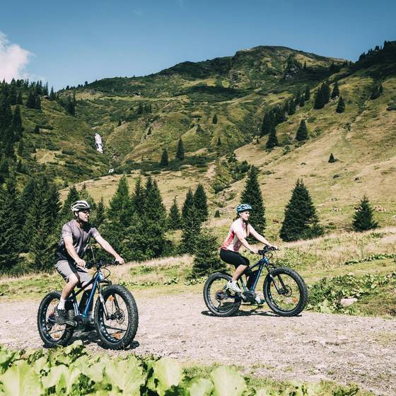 Mountainbiken rund ums Kinderhotel Stegerhof (Foto: Armin Walcher)