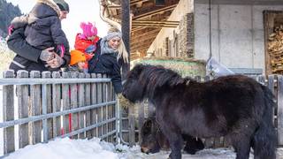Tagesausflug mit der Familie