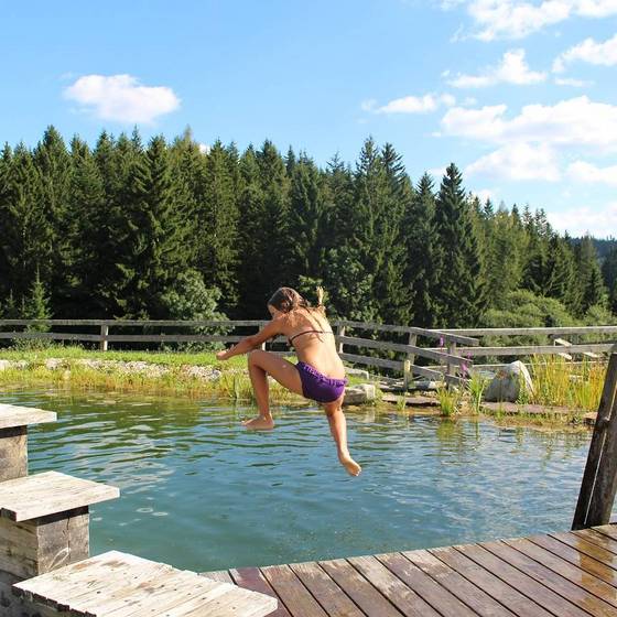 Naturteich zum Baden (Foto: DasLeitner-Narnhoferwirt / Karin Leitner)