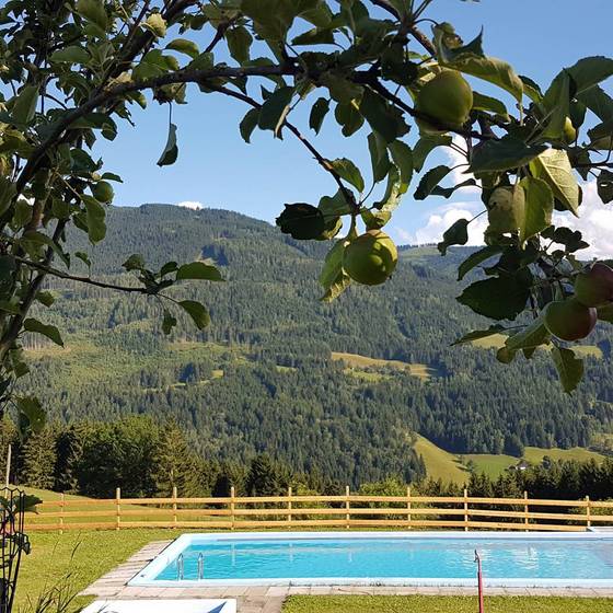 Pool mit Aussicht, Pürcherhof