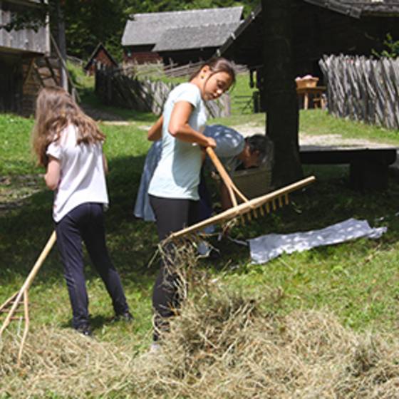 Heu machen - Ferienprogramm im Freilichtmuseum Stübing (Foto: ÖMF/UMJ)